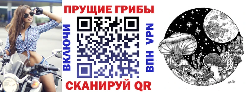 Галлюциногенные грибы GOLDEN TEACHER Уссурийск
