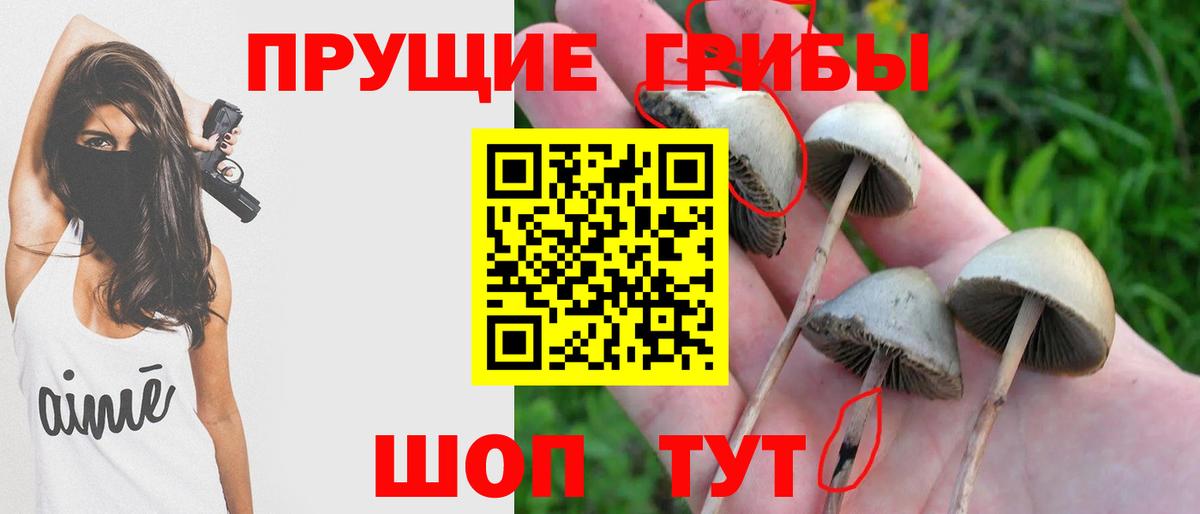 COCAIN Уссурийск