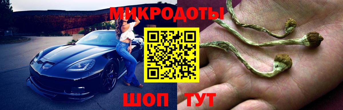 Псилоцибиновые грибы ЛСД  Вход с VPN  Псилоцибиновые грибы мицелий  Уссурийск 